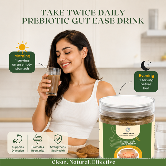 Prana Tatva Prebiotic Gut Ease Powder – Digestive & Gut Health Support (100g)