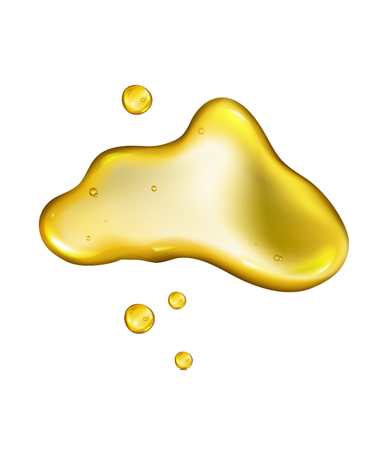 Wellness & Therapeutic Care