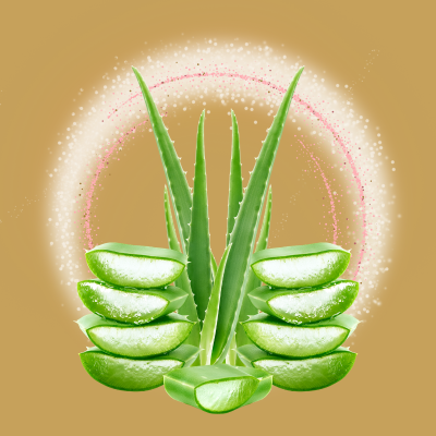 ALEOVERA