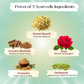Prana Tatva Ayurvedic Acid Ease Powder | Natural Acidity Relief with Saunf, Mulethi & Cardamom